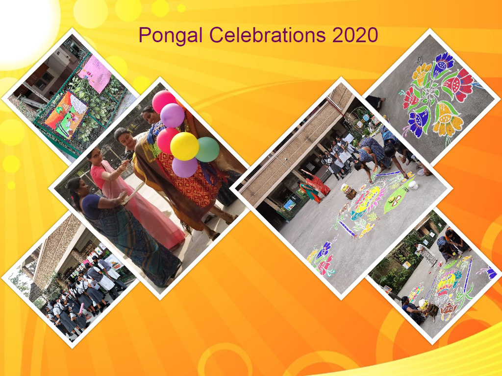 Pongal Celebrations