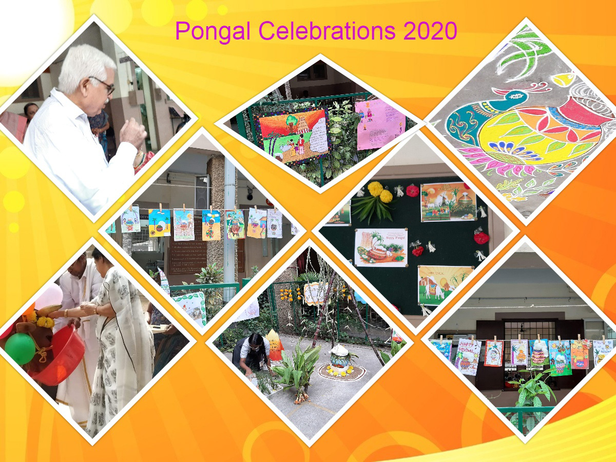 Pongal Celebrations