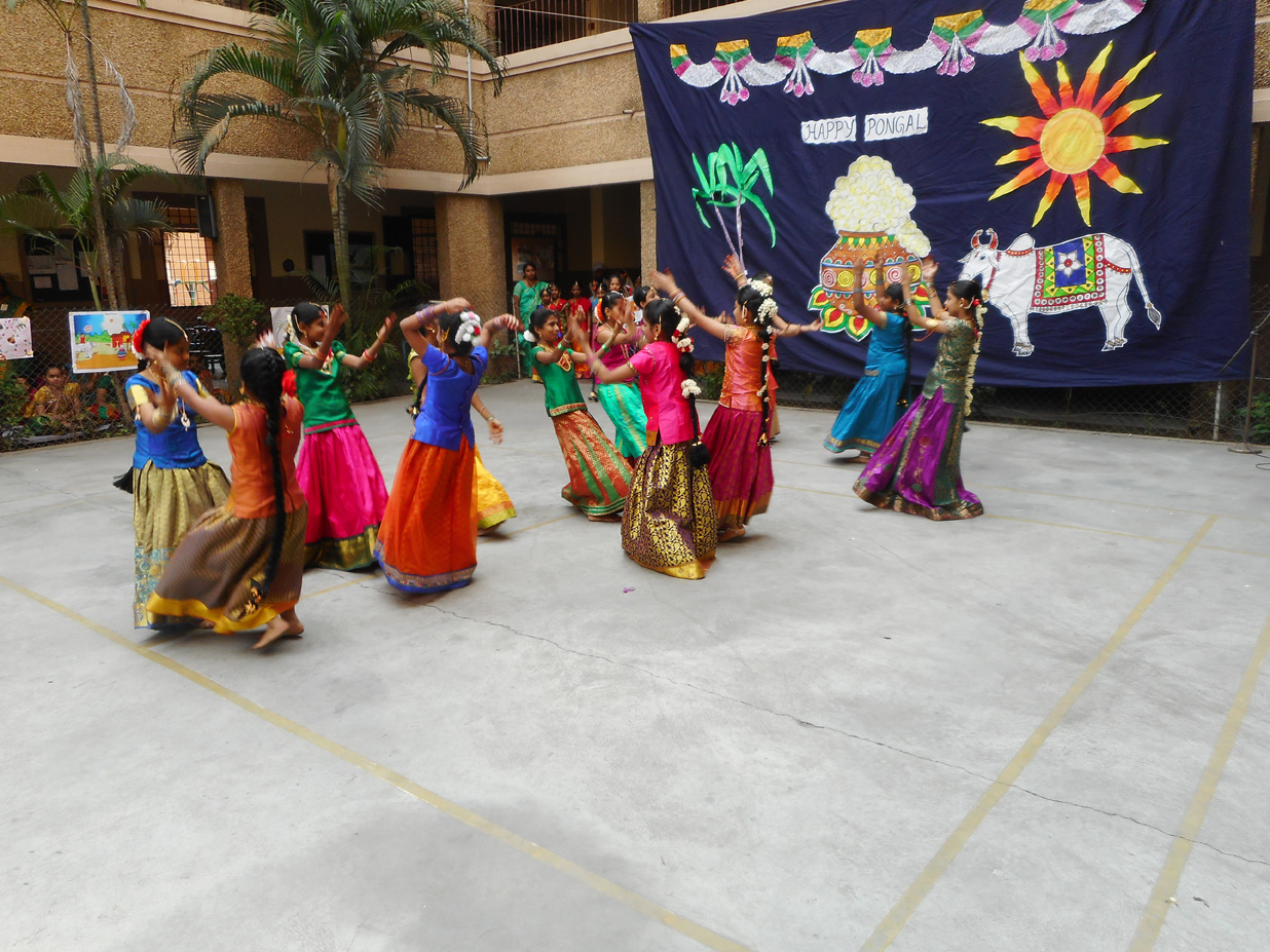 Pongal Celebrations