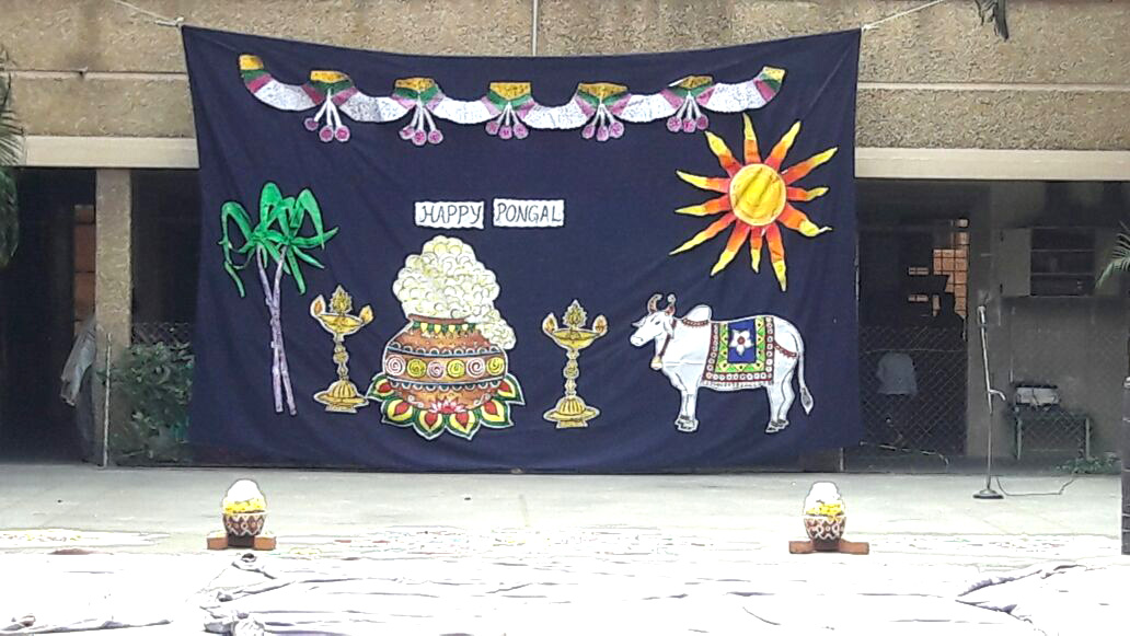 Pongal Celebrations