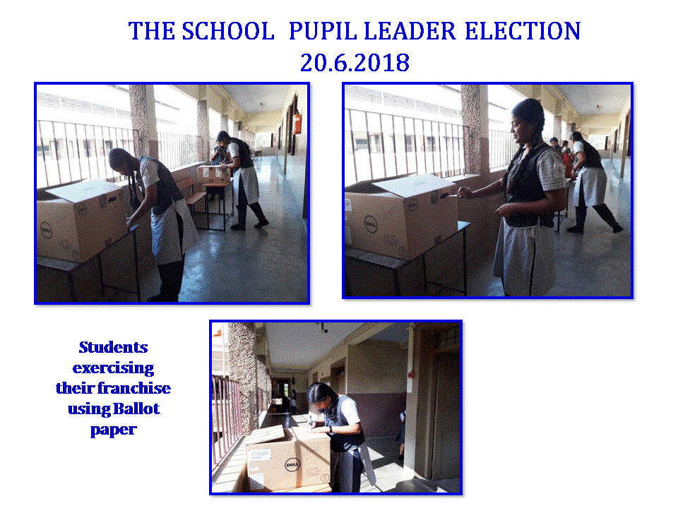 School Elections