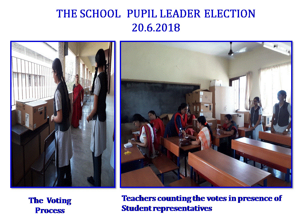 School Elections