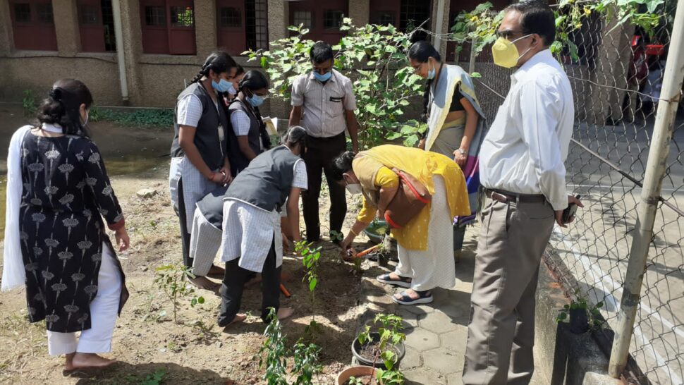 PAADAPAOTSAV(Celebrating Plants)